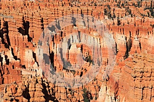 Bryce Canyon National Park, Hoodoos from Bryce Point, Southwest Desert, Utah, USA