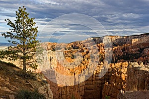 Bryce Canyon National Park, Hoodoos orange rock formations. Utah, USA