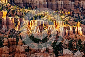 Bryce Canyon National Park, Hoodoos orange rock formations. Utah, USA