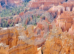 Bryce Canyon National Park Landscape