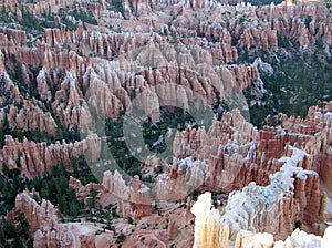 Nature is amazing - Bryce Canyon National Park