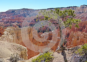 Bryce Canyon National Park Scenic