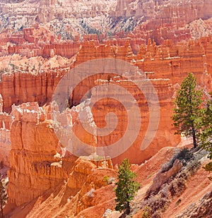 Bryce canyon