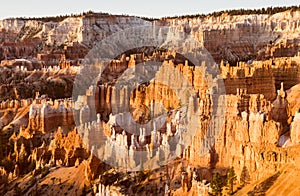 Bryce canyon national park,when sunrise,Utah,usa.