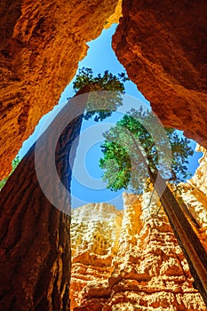 Bryce Canyon National Park