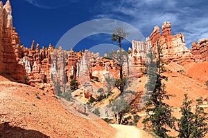 Bryce Canyon National Park, Trail through Hoodoos in Queens Garden, Southwest Desert, Utah, USA