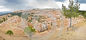 Bryce Canyon National Park in Utah photo