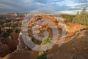 Bryce Canyon National Park in Utah - A giant natural amphitheaters at sunrise