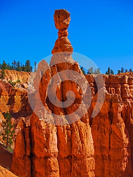 The Bryce Canyon National Park, Utah, United States