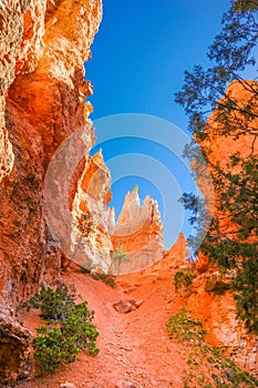 The Bryce Canyon National Park, Utah, United States