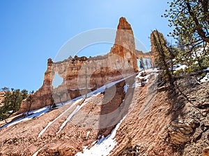 The Bryce Canyon National Park Utah, United States.