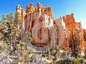 The Bryce Canyon National Park Utah, United States.