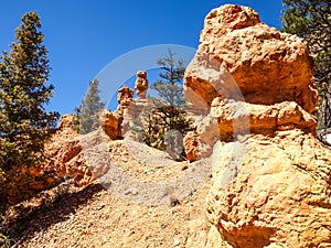 The Bryce Canyon National Park Utah, United States.