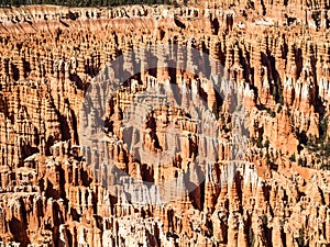 The Bryce Canyon National Park Utah, United States.