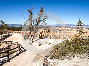 The Bryce Canyon National Park Utah, United States.