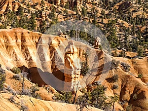 The Bryce Canyon National Park Utah, United States.