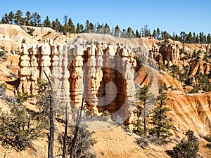 The Bryce Canyon National Park Utah, United States.