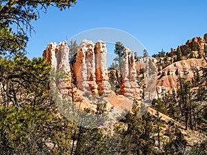 The Bryce Canyon National Park Utah, United States.