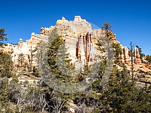 The Bryce Canyon National Park Utah, United States.