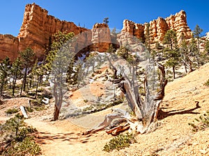 The Bryce Canyon National Park Utah, United States.