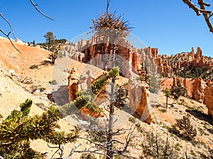 The Bryce Canyon National Park Utah, United States.