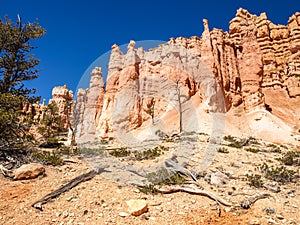 The Bryce Canyon National Park Utah, United States.