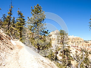 The Bryce Canyon National Park Utah, United States.