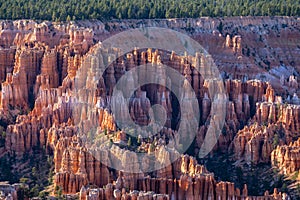 Bryce Canyon National Park, Utah USA