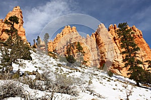 Bryce Canyon National park, Utah, USA