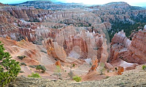 Bryce canyon national park, utah, usa.colored eroded hoodoos