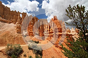 Bryce Canyon National Park View