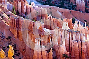 Bryce Canyon panorama