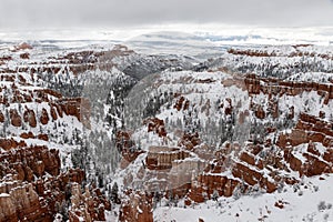 Bryce Canyon panorama, trees and hoodos, covered with snow