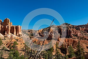 Bryce Canyon - Panoramic aerial view on sandstone rock formations on Navajo Rim hiking trail in Bryce Canyon National Park, Utah