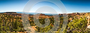 Bryce Canyon Panoramic View