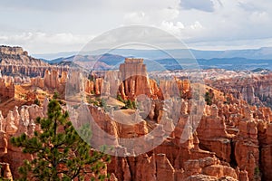Bryce Canyon - Queens Garden hiking trail with scenic view of massive steep hoodoo sandstone rock formation towers in Utah, USA