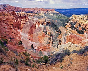 Bryce Canyon in the spring