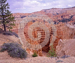 Bryce Canyon in the spring
