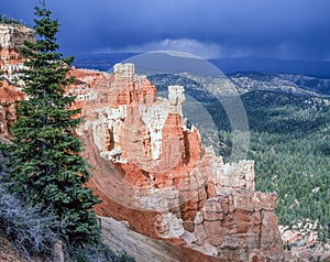Bryce Canyon in the spring