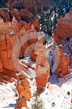 Bryce Canyon, Utah