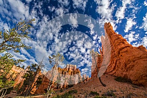 Bryce Canyon, Utah, scenery, profiled on sky