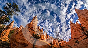 Bryce Canyon, Utah, scenery, profiled on sky