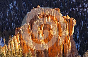 Bryce Canyon Utah Scenic Winter Landscape