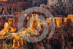 Bryce Canyon, Utah, sunrise scenery in autumn