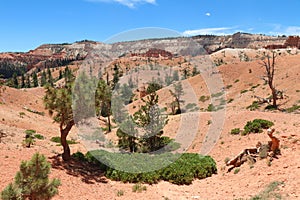 Bryce Canyon Valley View