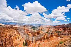 Bryce Canyon Vista on a Summer Day