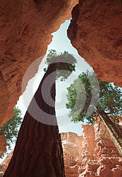 Bryce Canyon Wall Street