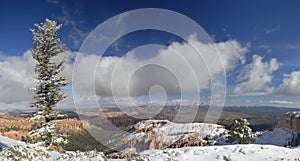 Bryce Canyon in winter from Inspiration Point