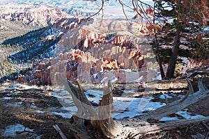 Bryce Canyon winter landscape two