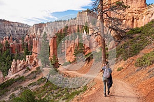 Bryce Canyon - Woman hiking on Queens Garden trail with scenic view of hoodoo sandstone rock formations in Utah, USA